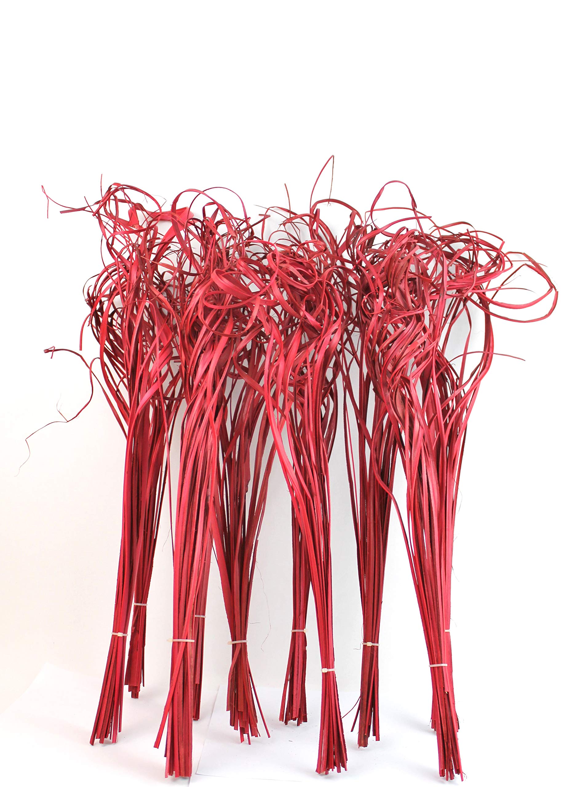 PALM TING TING CURLY-RED COLOUR